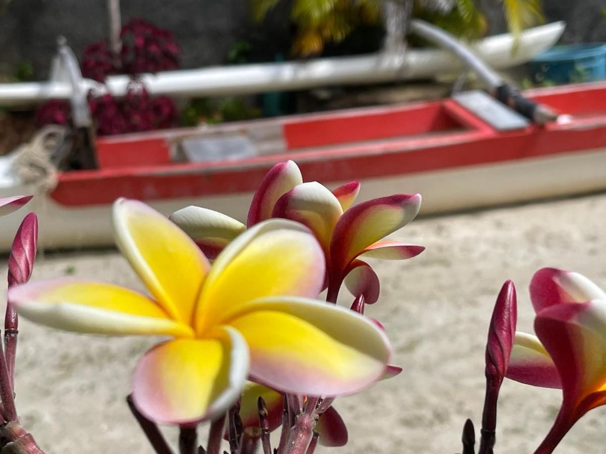 Manava Huahine Beach House Lejlighed Fare Eksteriør billede